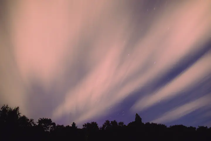 Clouds peaking over the forest.