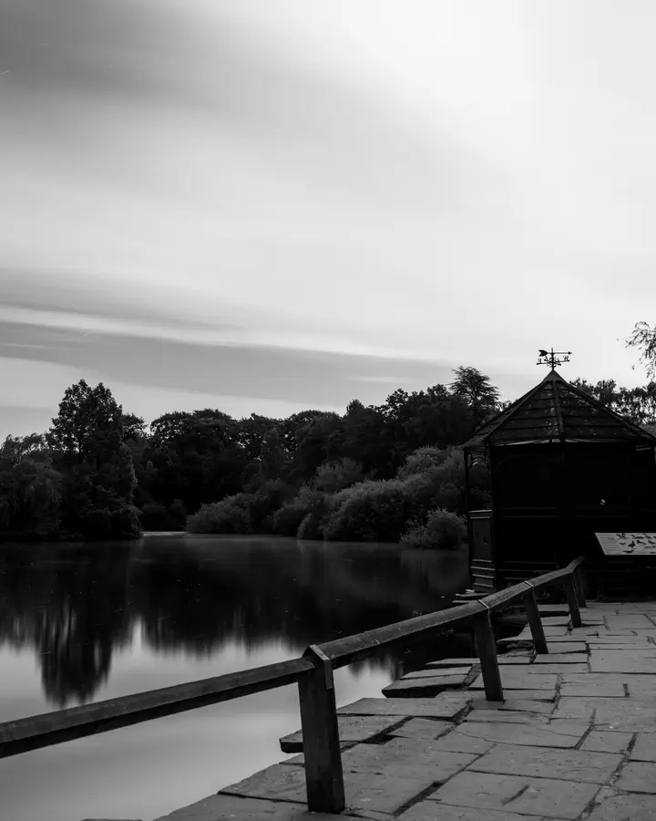 Black & white along the duck pond.