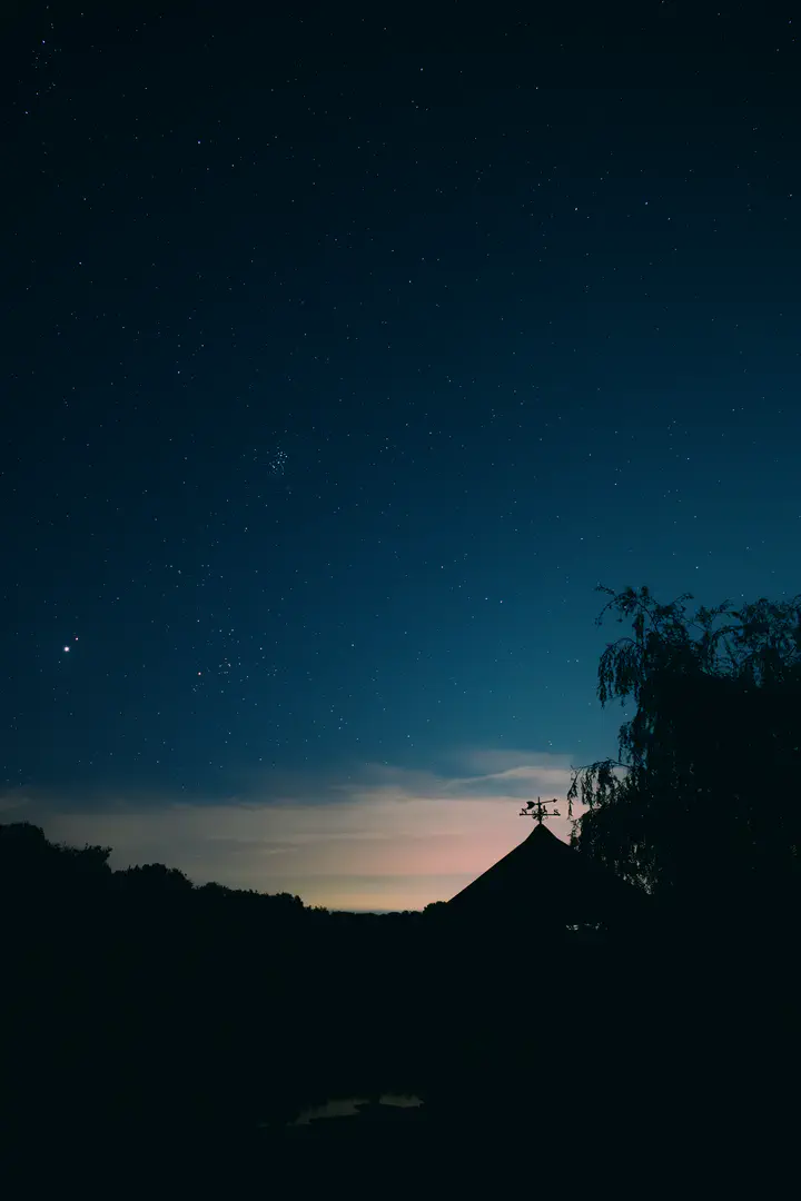 Another shot of the duck pond hide, facing dawn, just an hour away, conjunction of Mars and Jupiter on the left.